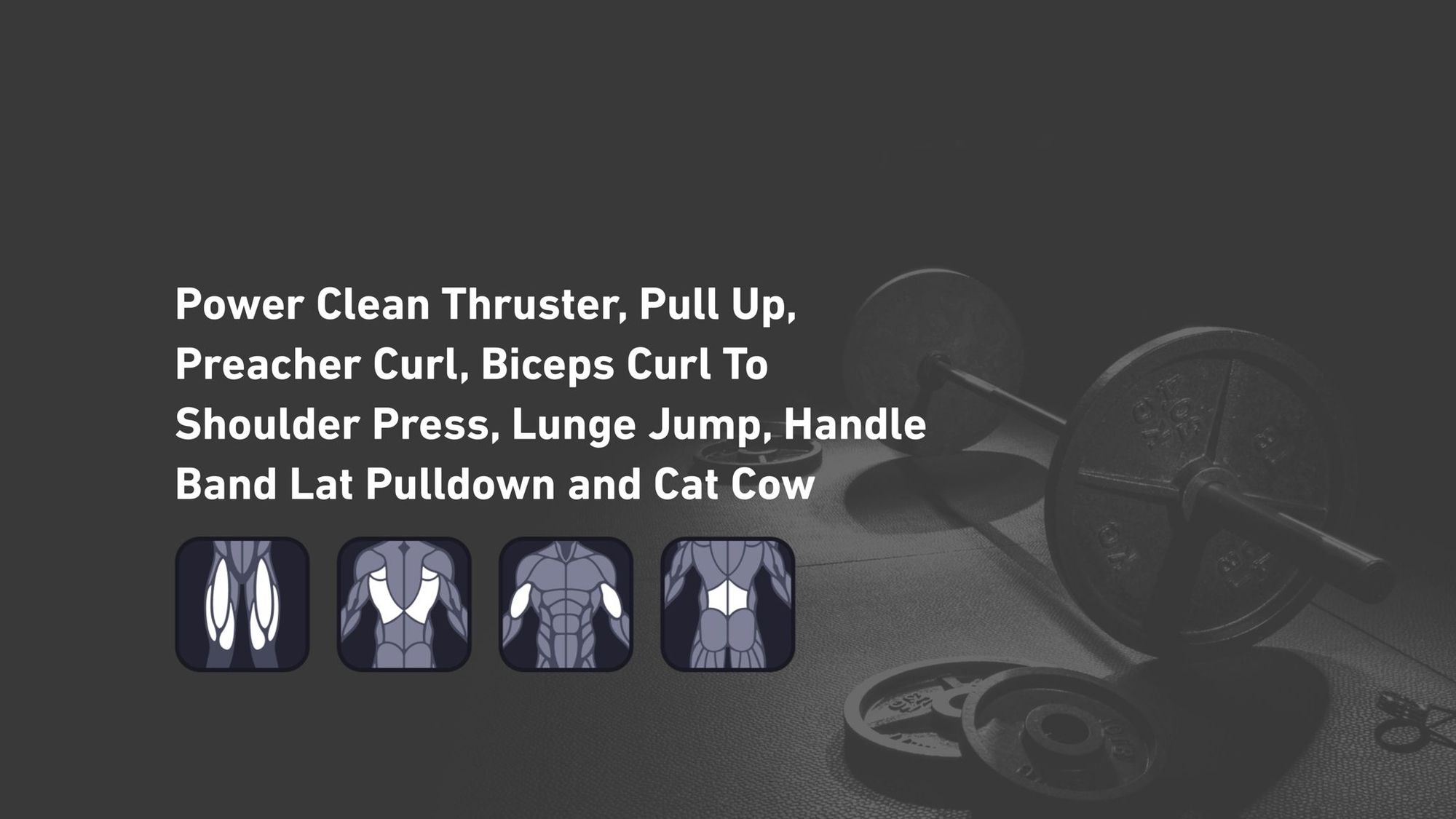 Fitbod - Quadriceps, Back, Biceps, Lower Back ๐๏ธ