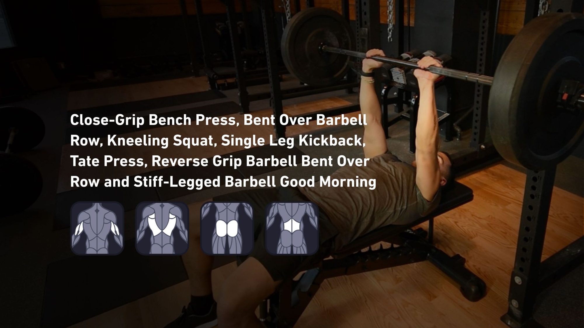 Fitbod - Triceps, Back, Glutes, Lower Back ๐๏ธ
