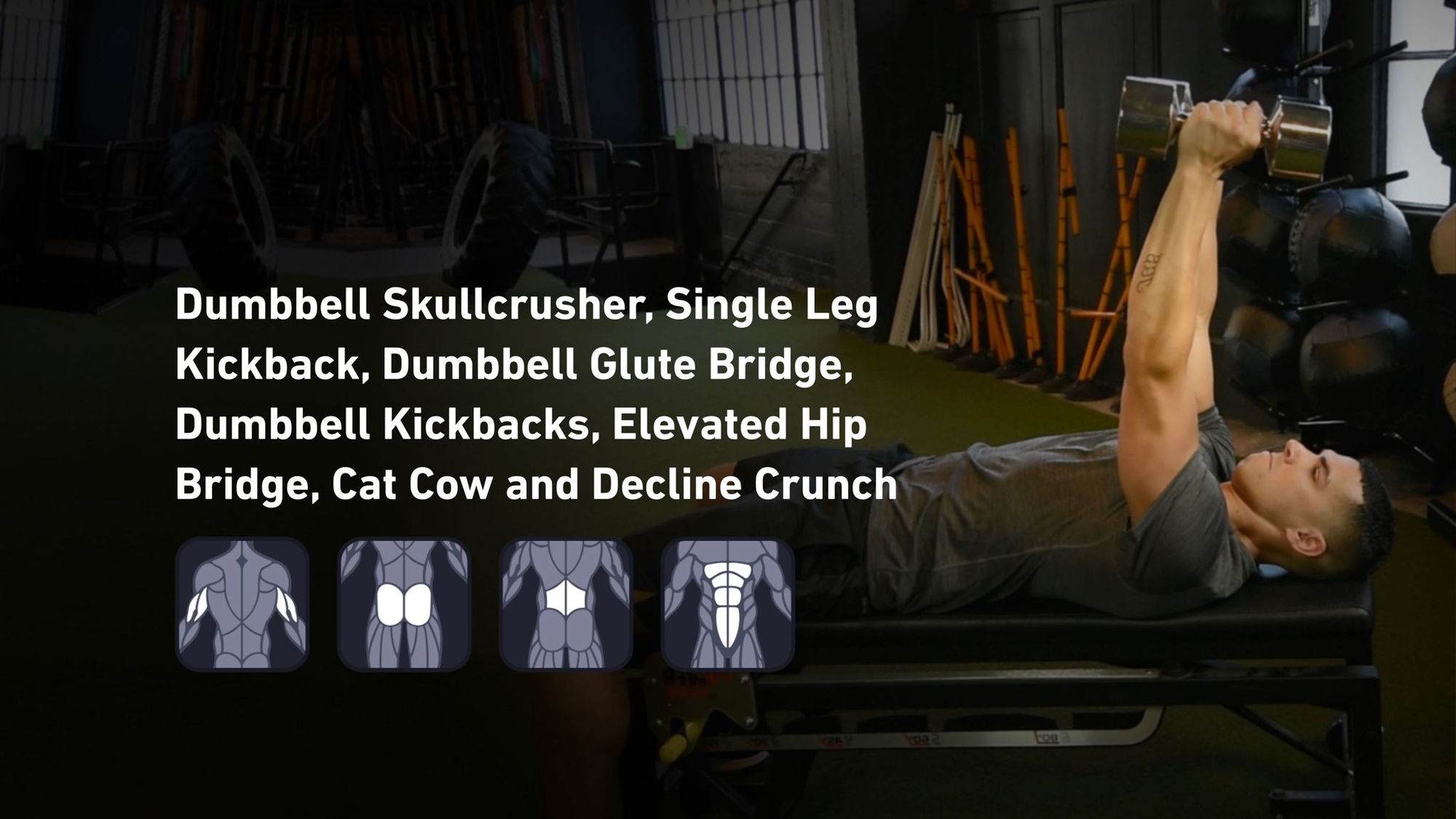 Fitbod - Triceps, Glutes, Lower Back, Abs ๐๏ธ