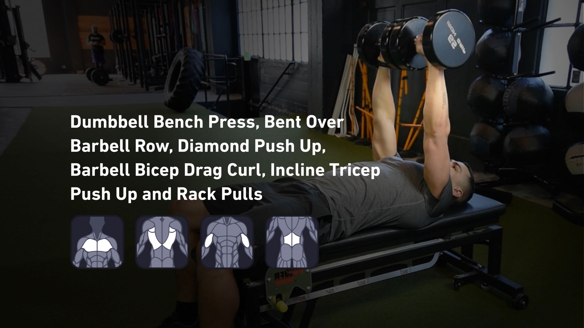Fitbod - Chest, Back, Biceps, Lower Back ๐๏ธ