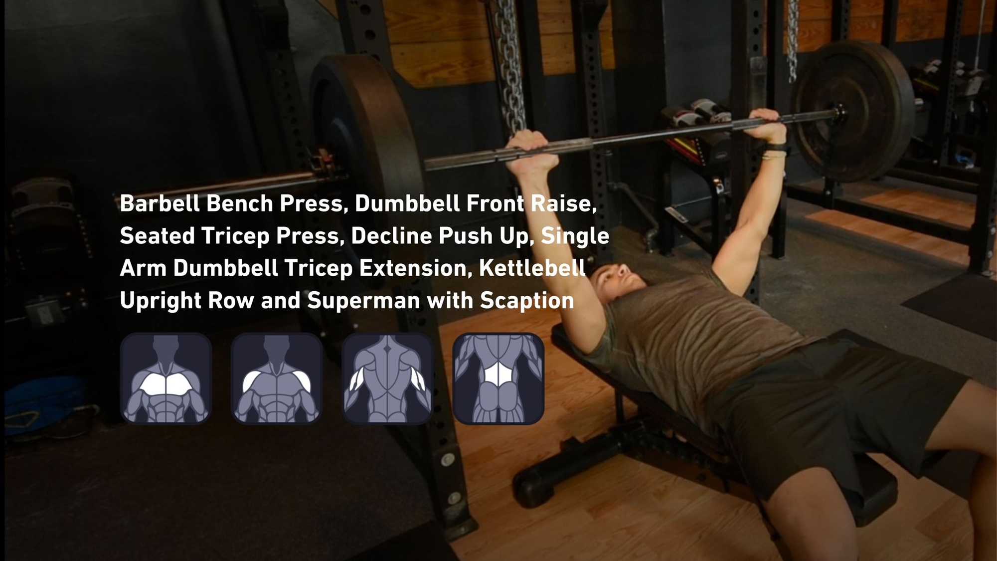 Fitbod - Chest, Shoulders, Triceps, Lower Back ๐๏ธ