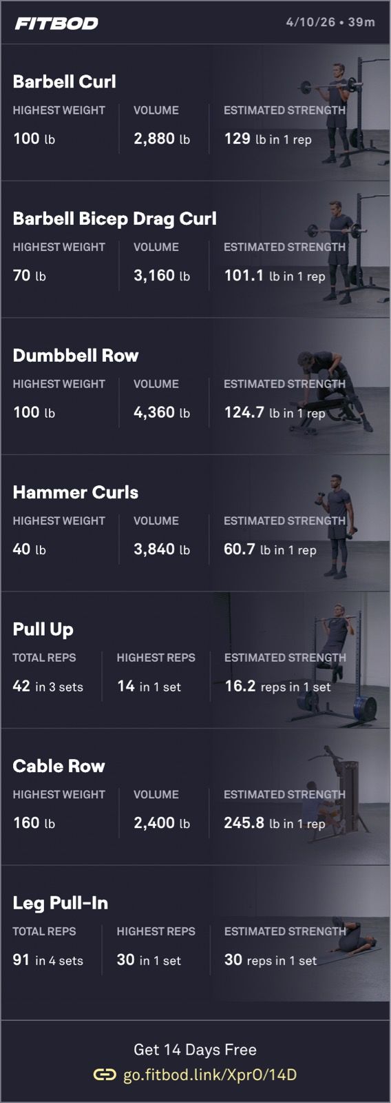 Arms and Back Weight Training