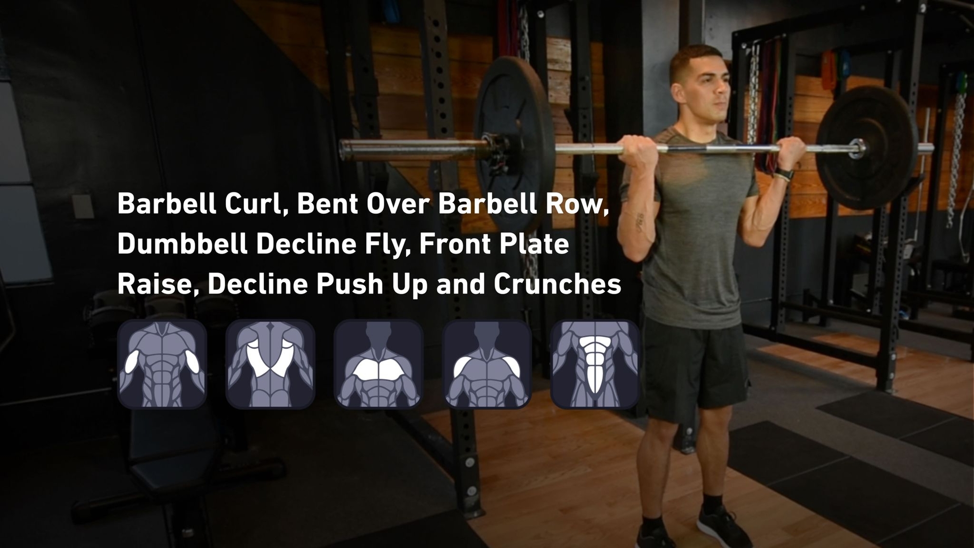 Fitbod - Biceps, Back, Chest, Shoulders, Abs ๐๏ธ