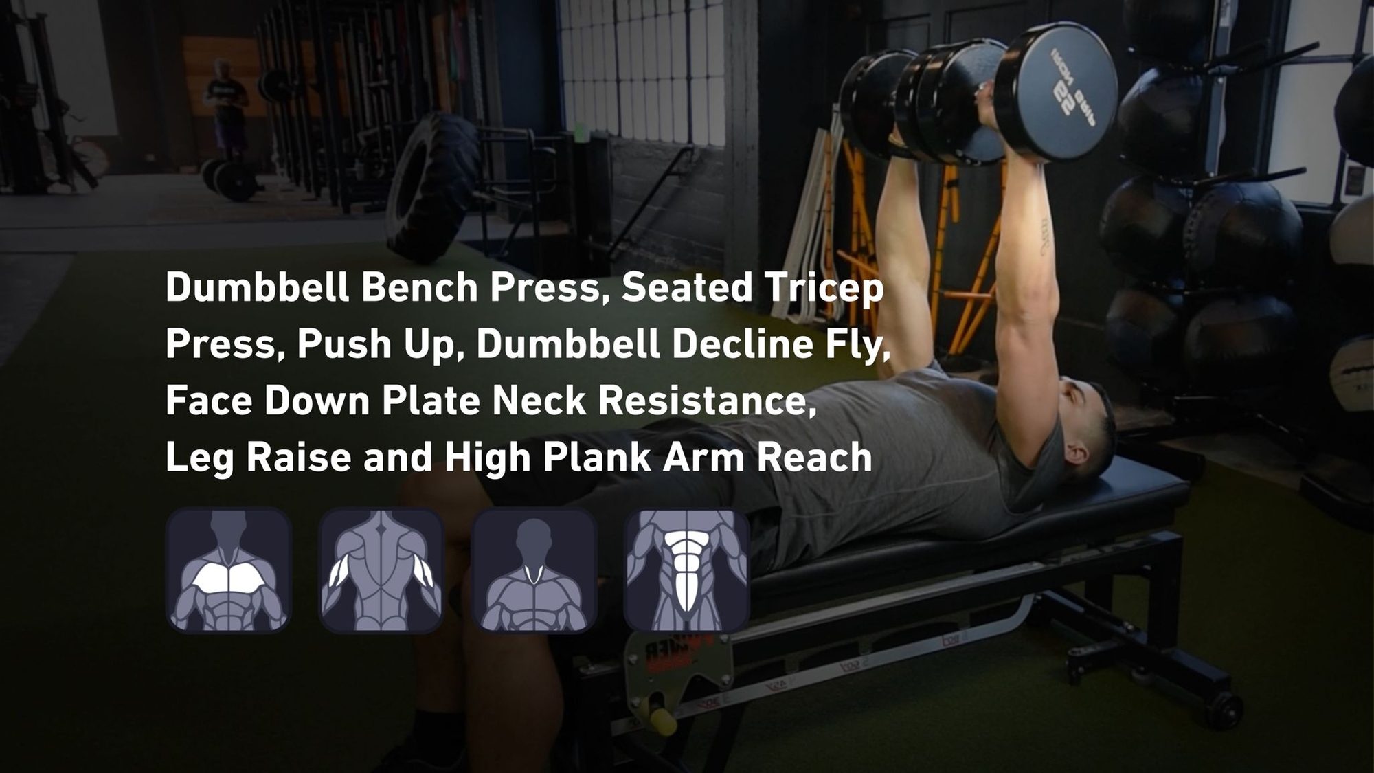 Fitbod - Chest, Triceps, Neck, Abs 🏋️