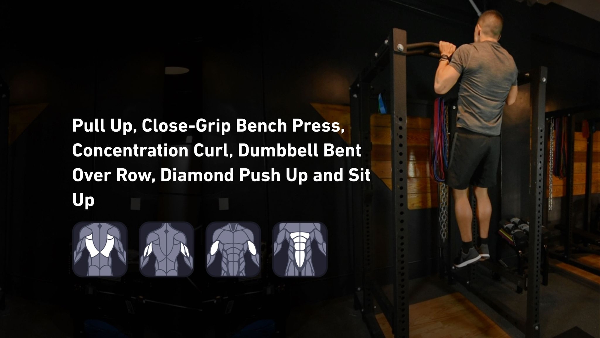 Fitbod - Back, Triceps, Biceps, Abs 🏋️