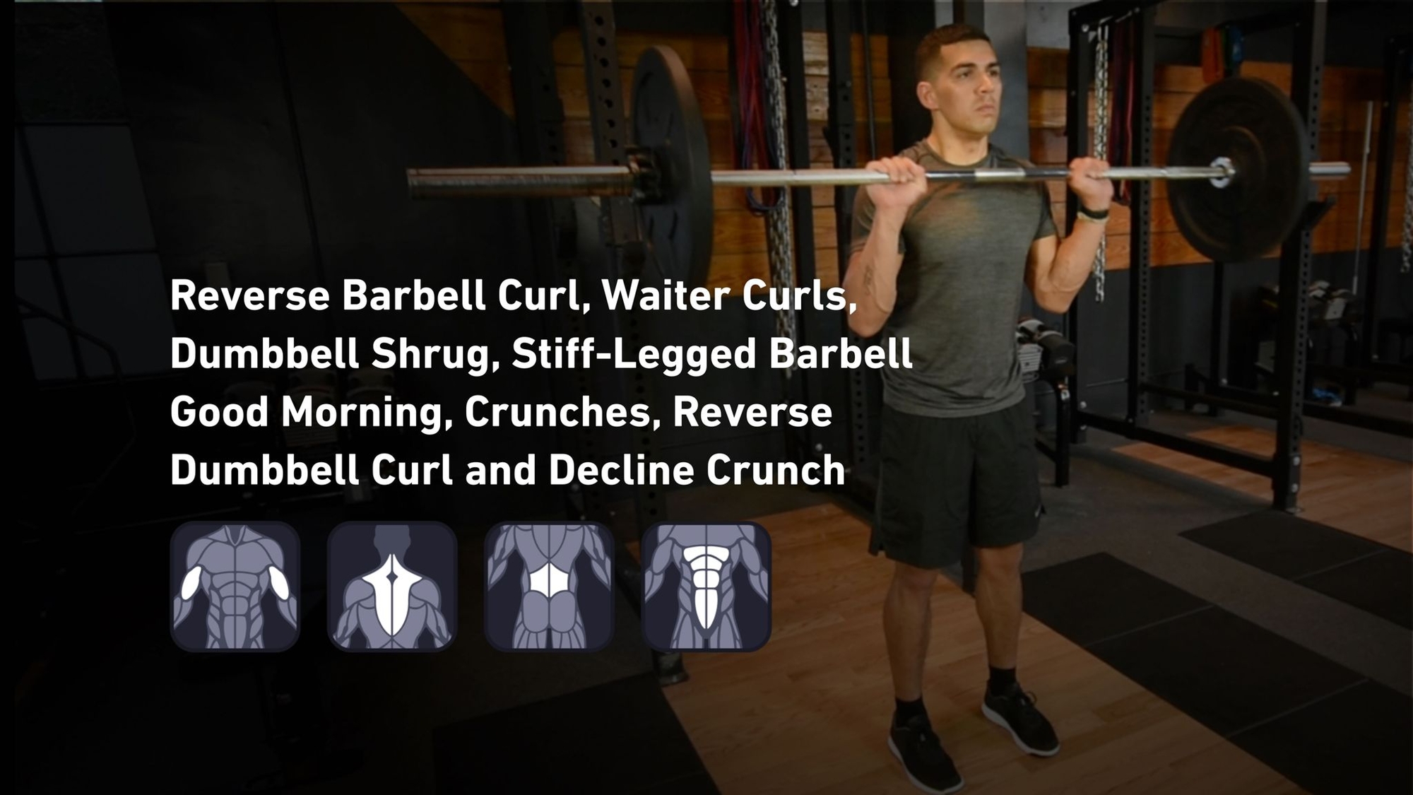 Fitbod - Biceps, Trapezius, Lower Back, Abs ๐๏ธ