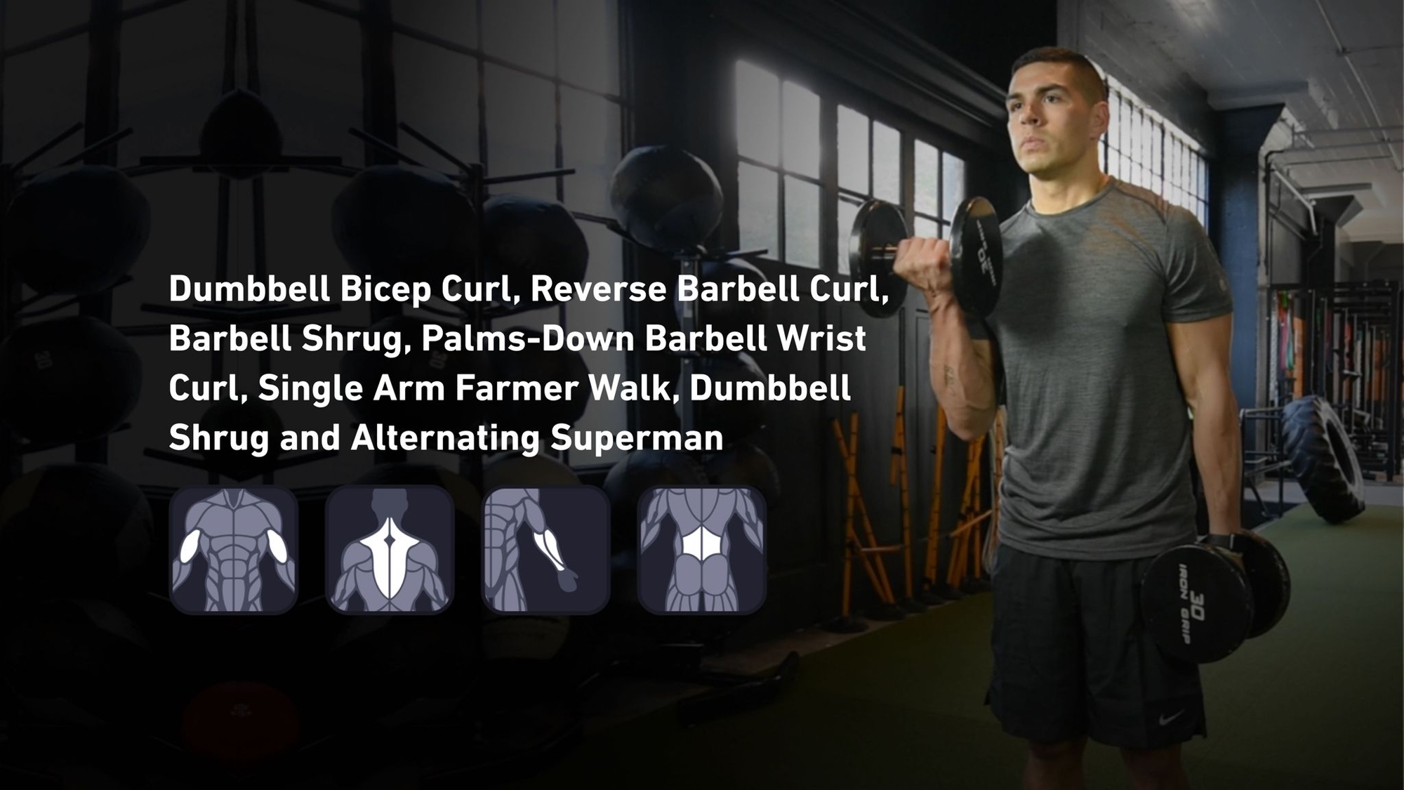 Fitbod - Biceps, Trapezius, Forearms, Lower Back ๐๏ธ