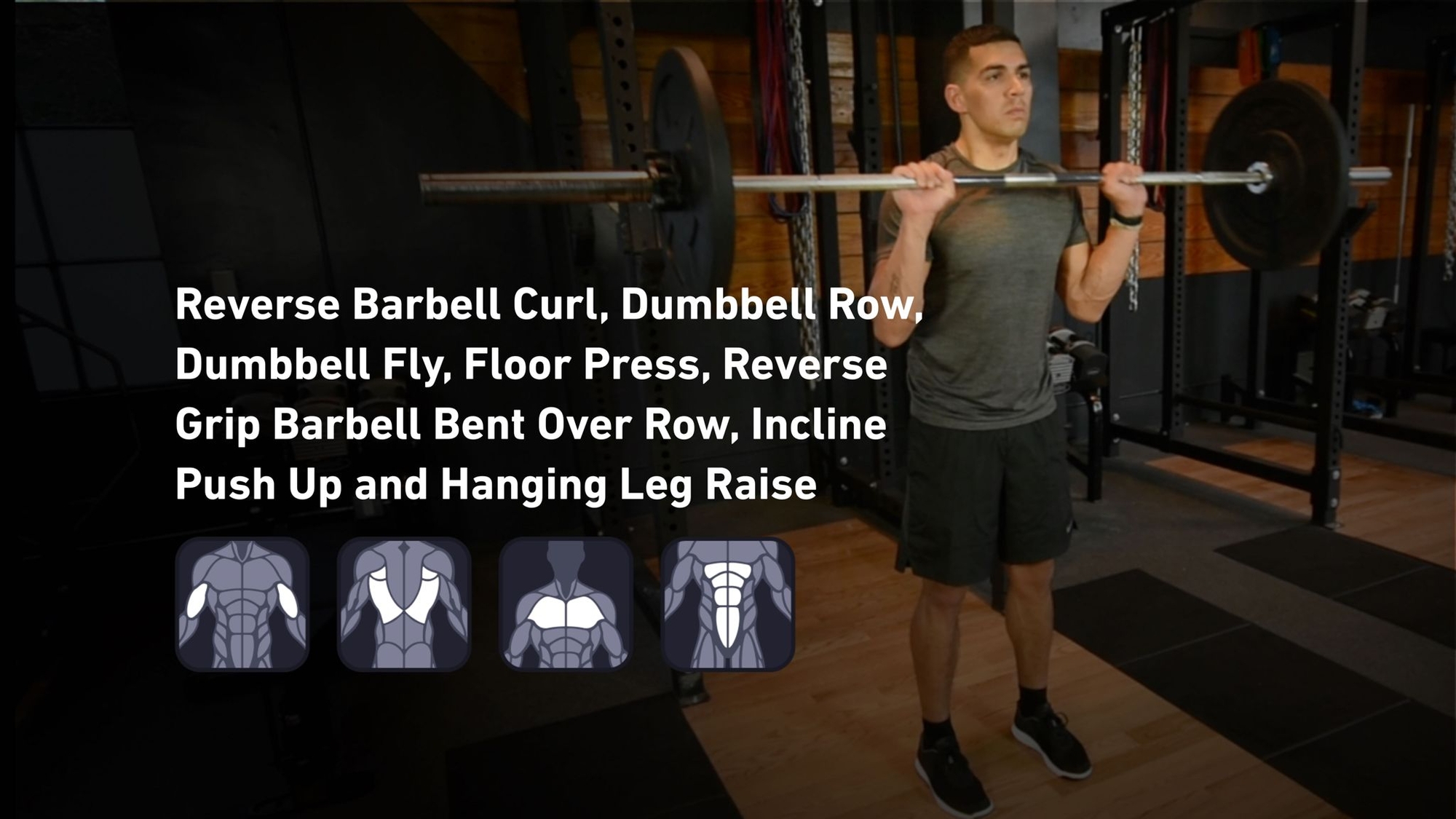 Fitbod - Biceps, Back, Chest, Abs 🏋️