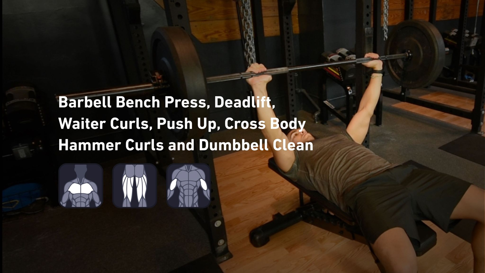 Fitbod - Chest, Hamstrings, Biceps 🏋️