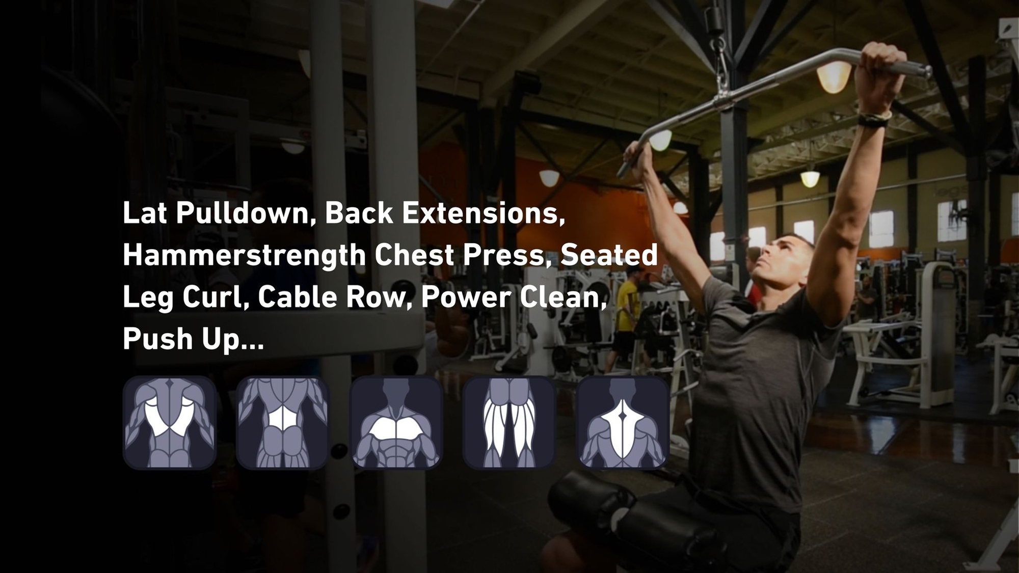 Fitbod - Back, Lower Back, Chest, Hamstrings, Trapezius ๐๏ธ
