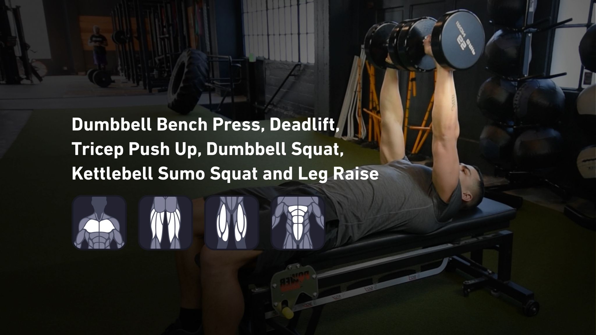 Fitbod - Chest, Hamstrings, Quadriceps, Abs ๐๏ธ