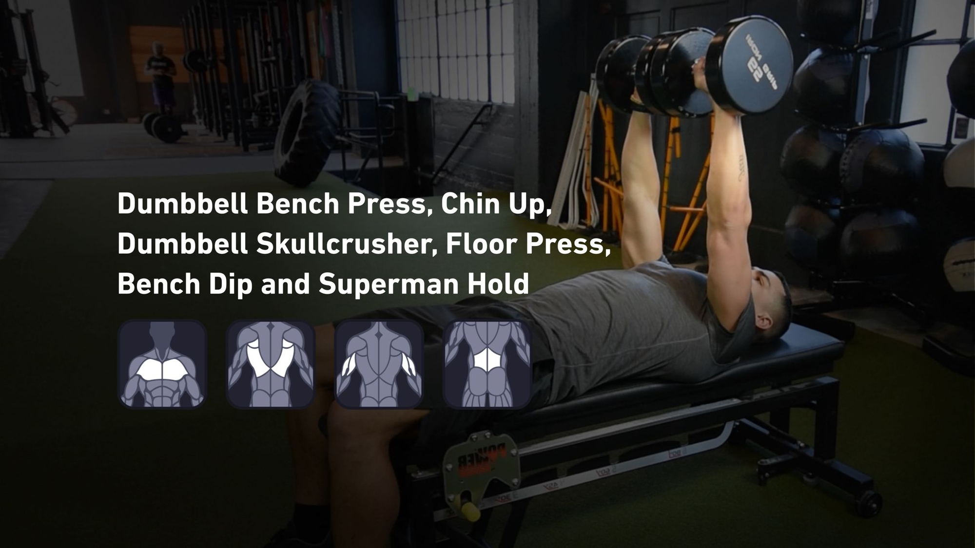 Fitbod - Chest, Back, Triceps, Lower Back ๐๏ธ