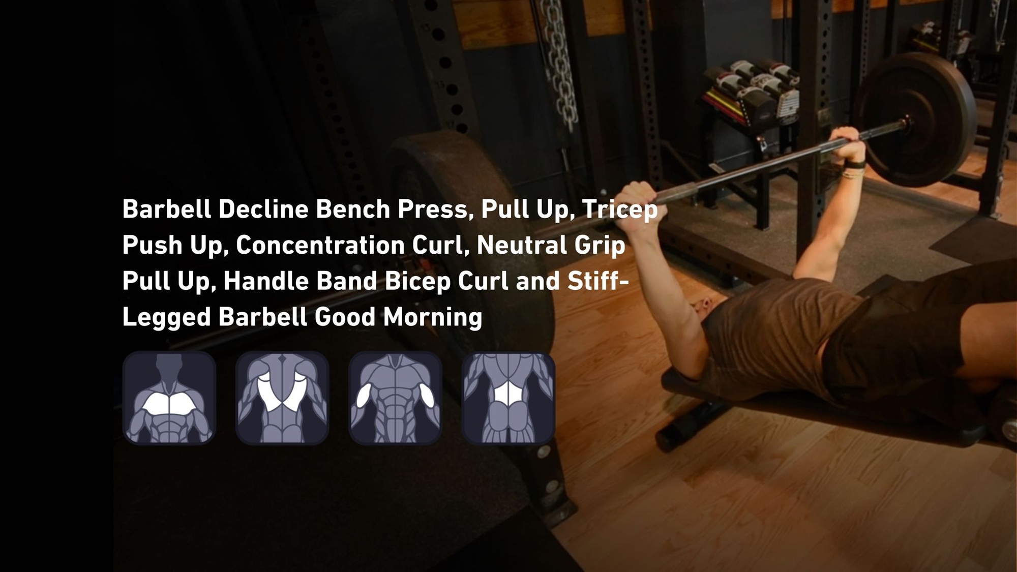 Fitbod - Chest, Back, Biceps, Lower Back ๐๏ธ
