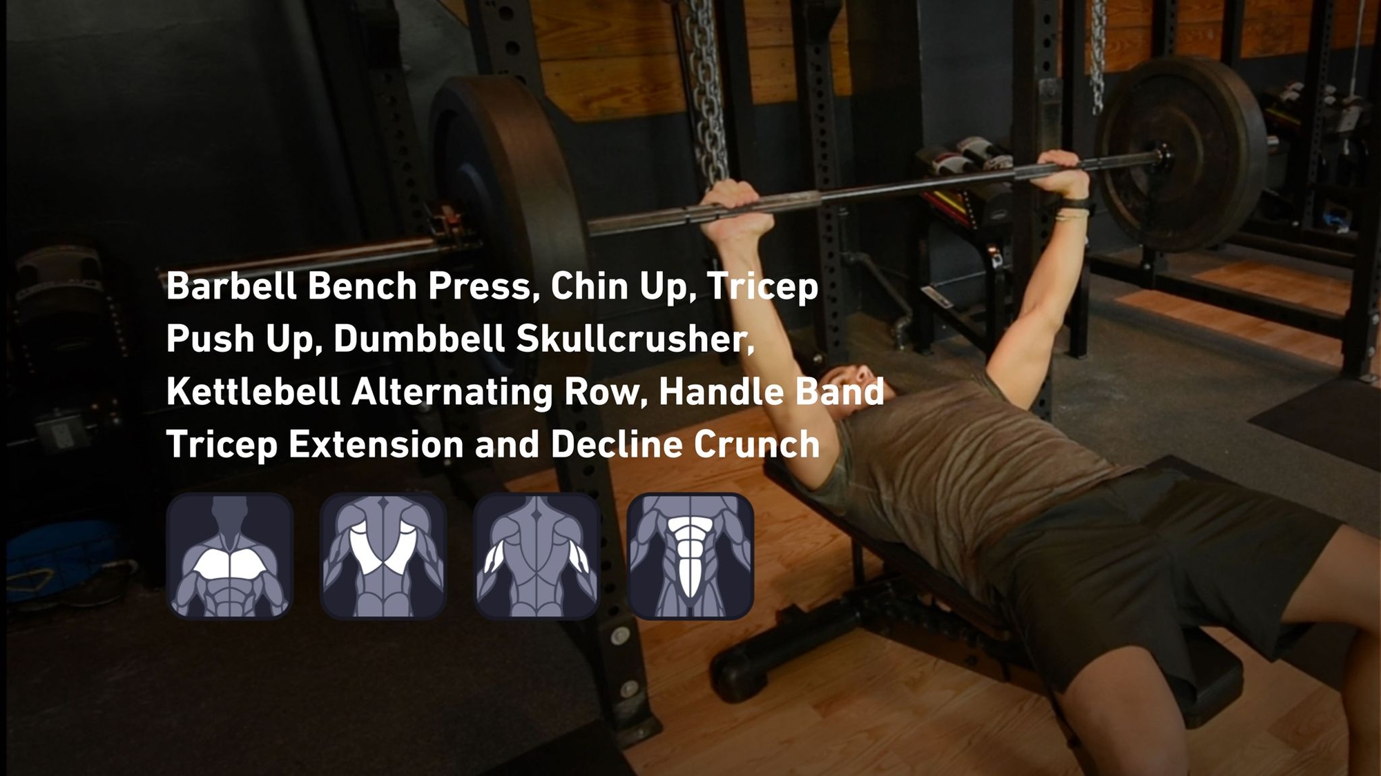 Fitbod - Chest, Back, Triceps, Abs 🏋️