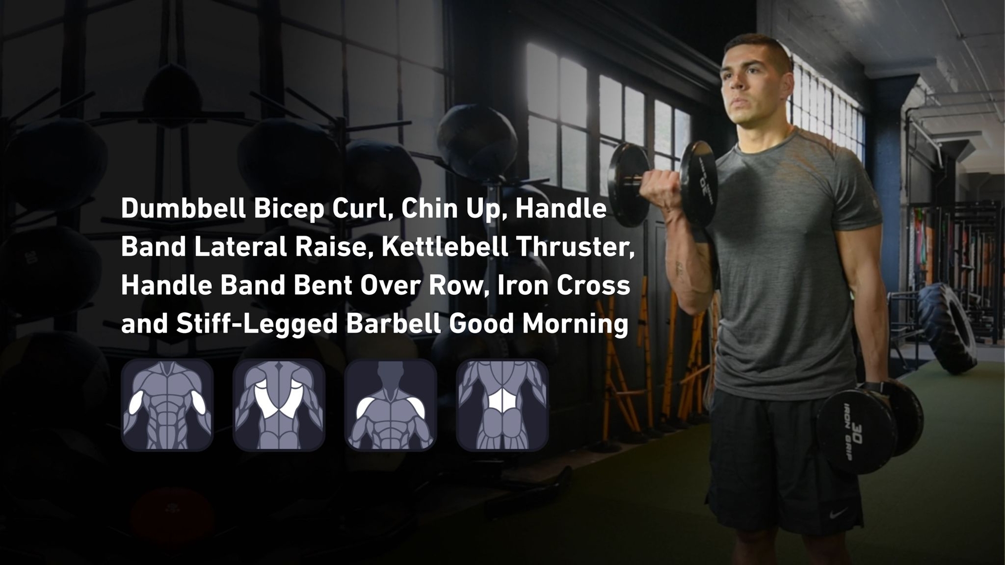 Fitbod - Biceps, Back, Shoulders, Lower Back ๐๏ธ