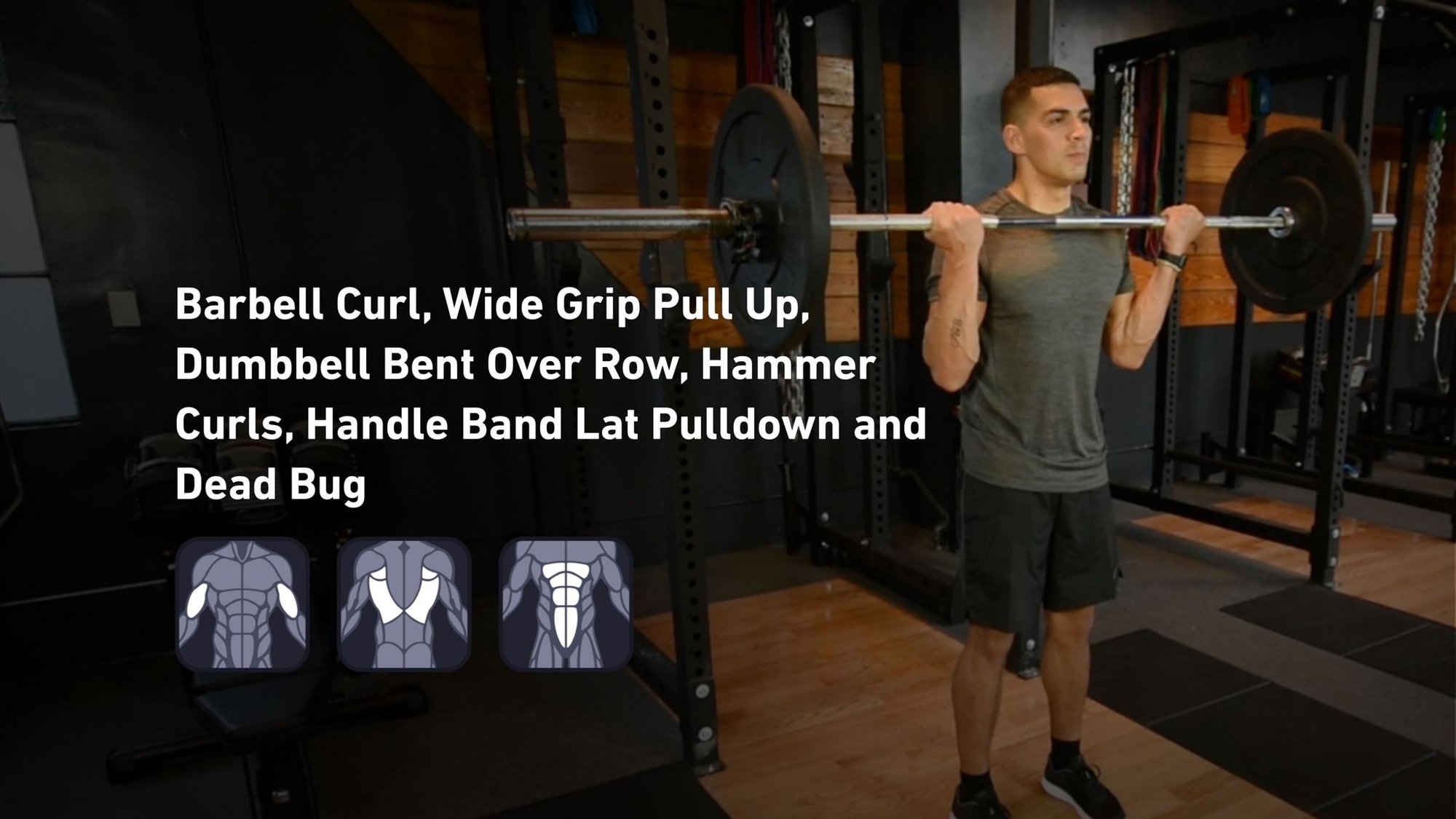 Fitbod - Biceps, Back, Abs 🏋️