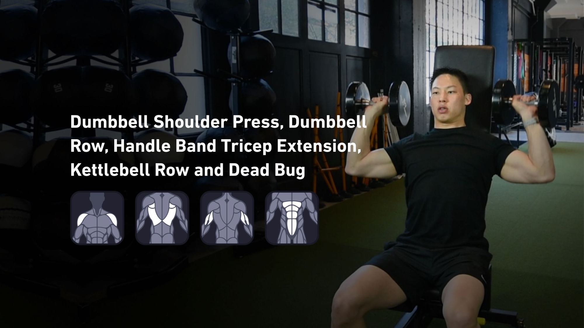 Fitbod - Shoulders, Back, Triceps, Abs ๐๏ธ