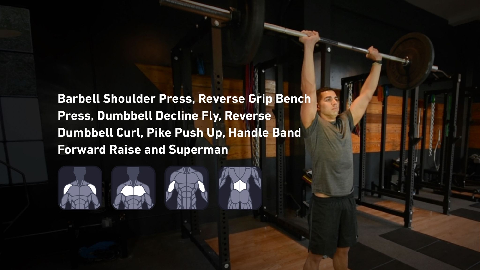 Fitbod - Shoulders, Chest, Biceps, Lower Back ๐๏ธ