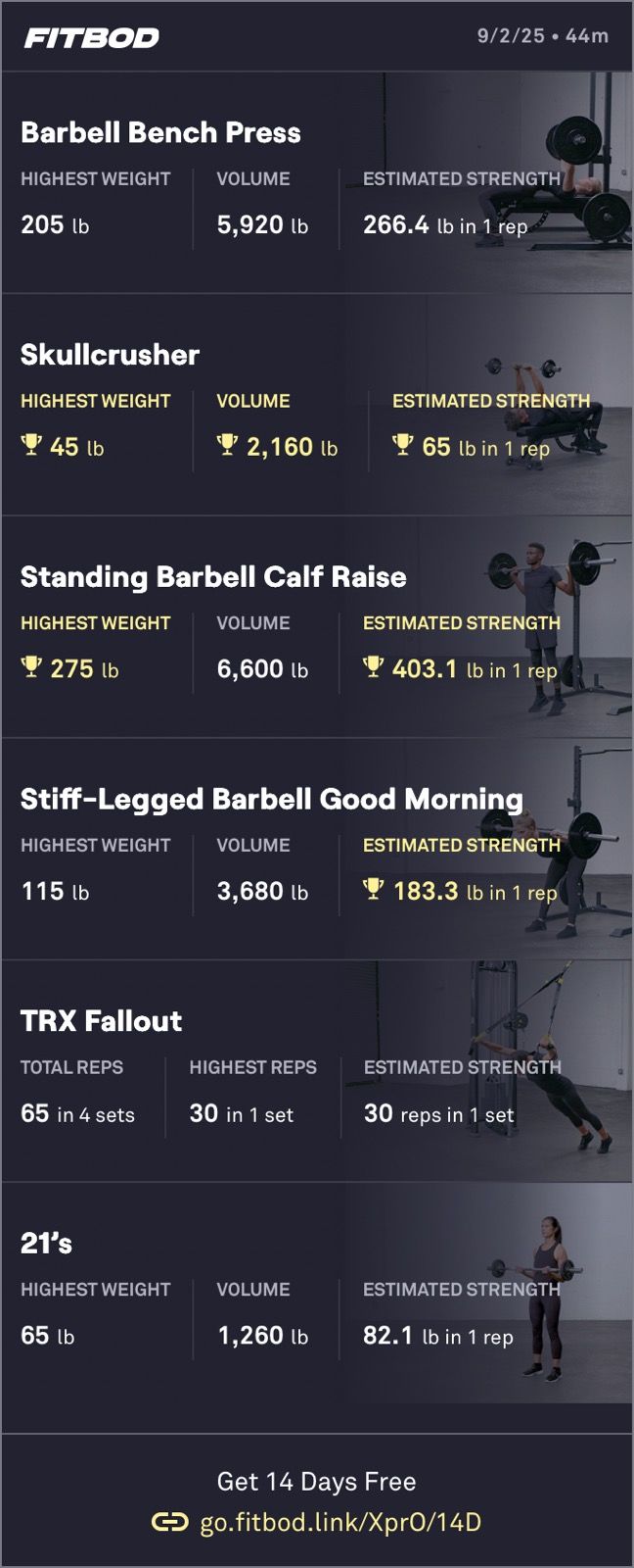 Light Weight Training 🏋️