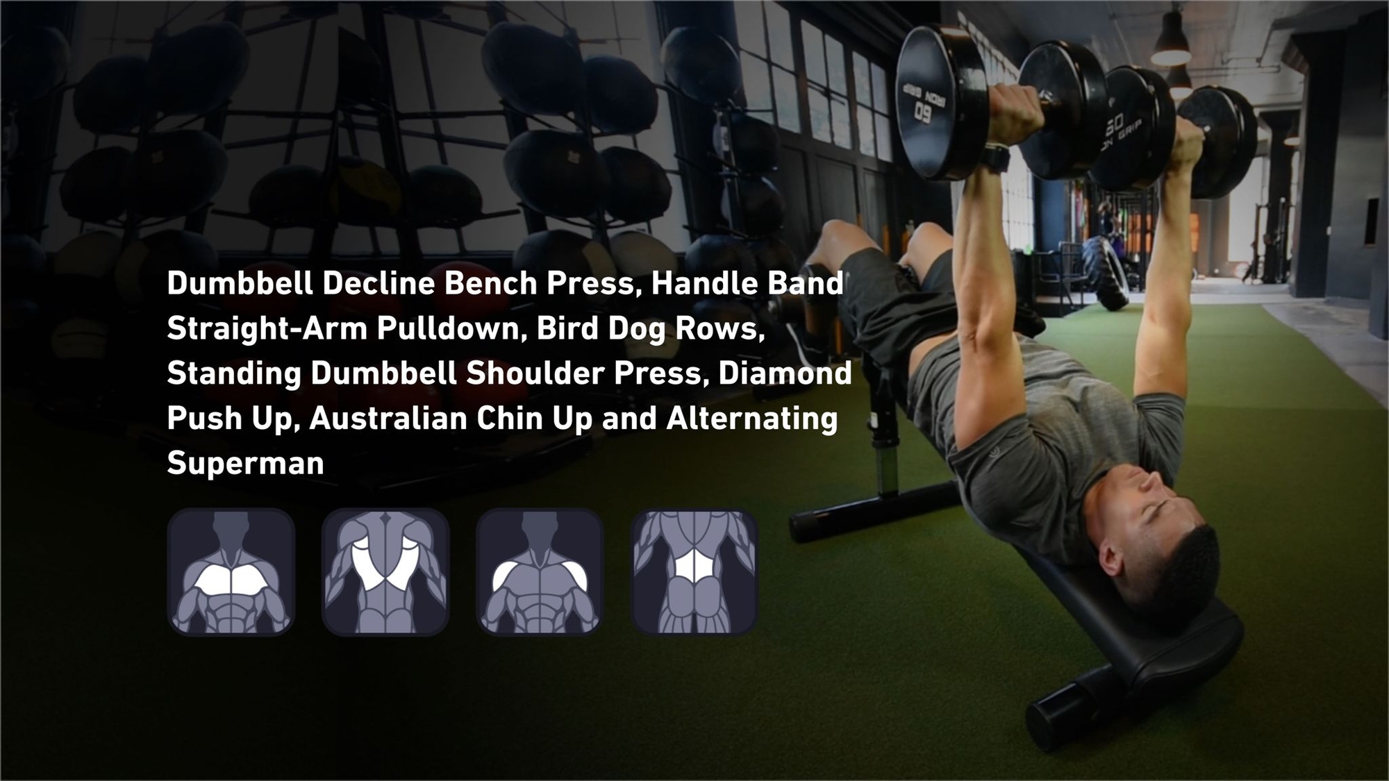 Fitbod - Chest, Back, Shoulders, Lower Back ๐๏ธ