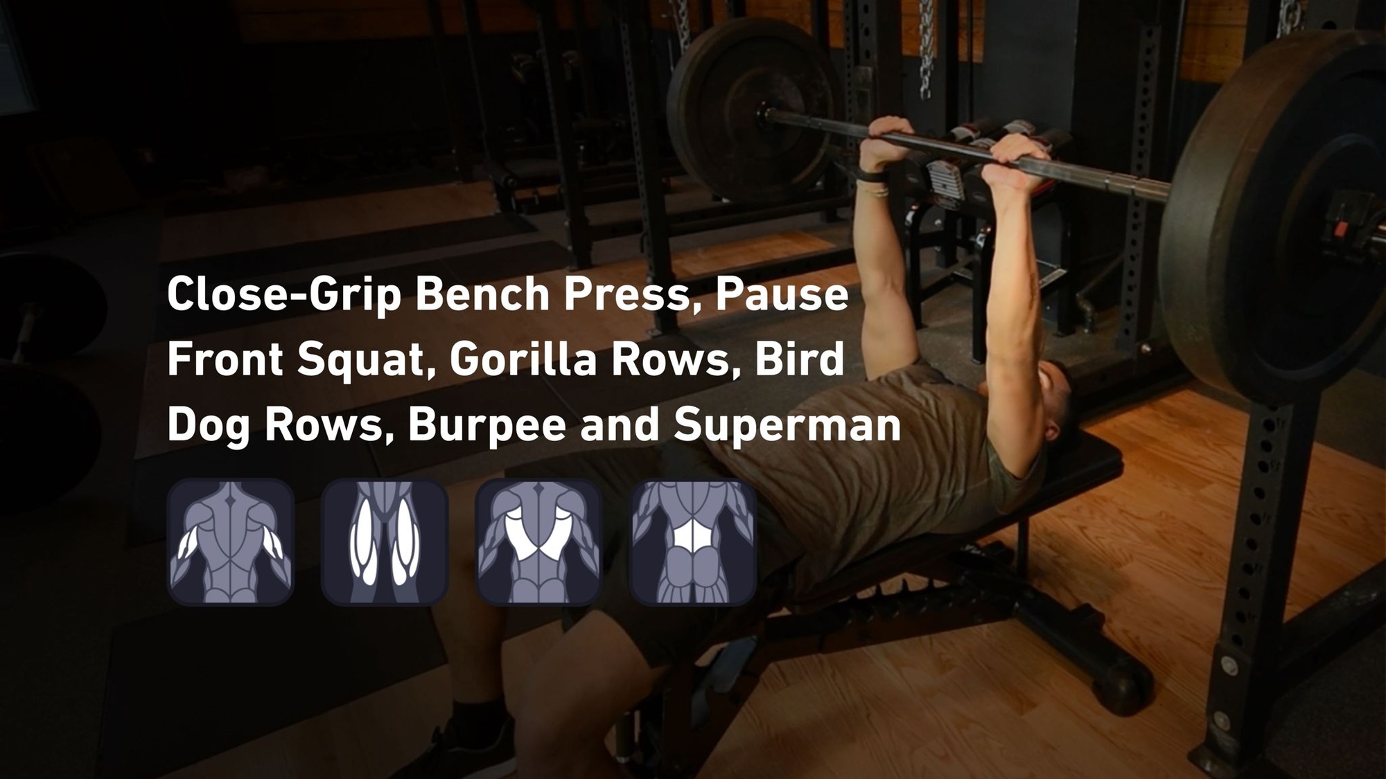 Fitbod - Triceps, Quadriceps, Back, Lower Back ๐๏ธ