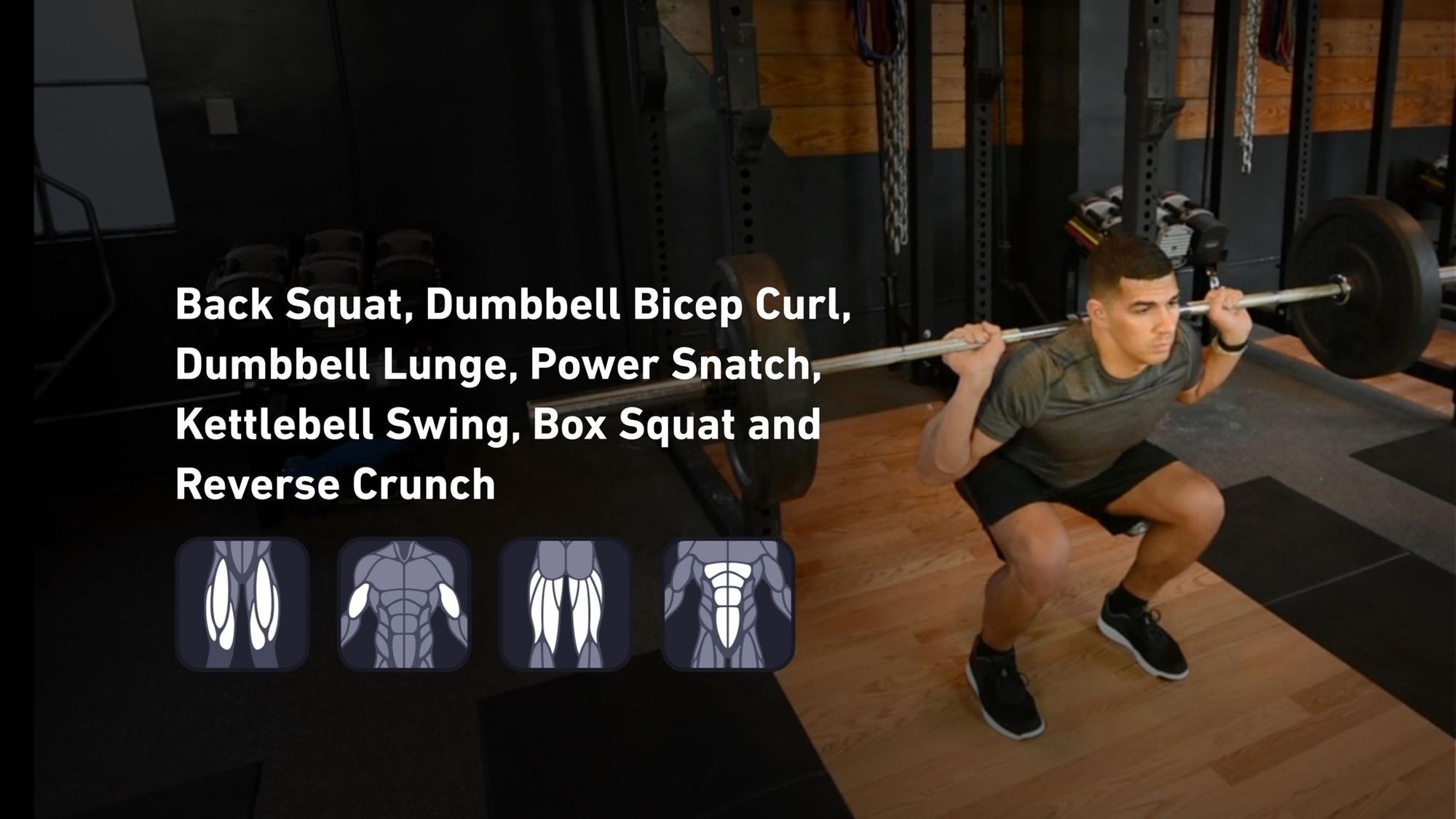 Fitbod - Quadriceps, Biceps, Hamstrings, Abs ๐๏ธ