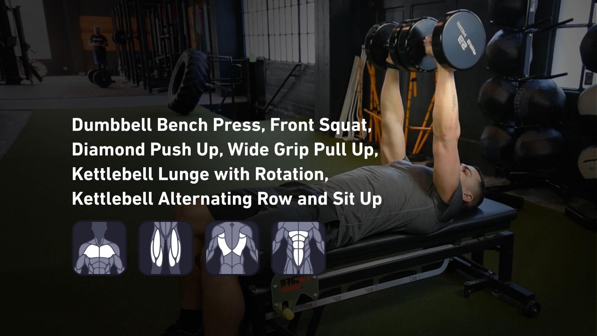 Fitbod - Chest, Quadriceps, Back, Abs 🏋️